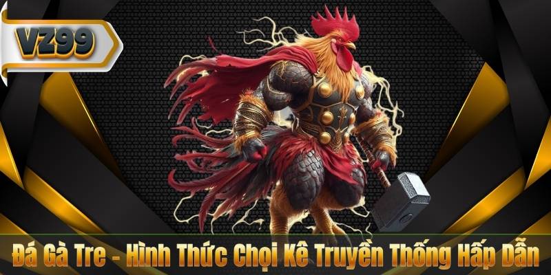 Đá Gà Tre - Hình Thức Chọi Kê Truyền Thống Hấp Dẫn 2 Đá Gà Tre - Hình Thức Chọi Kê Truyền Thống Hấp Dẫn